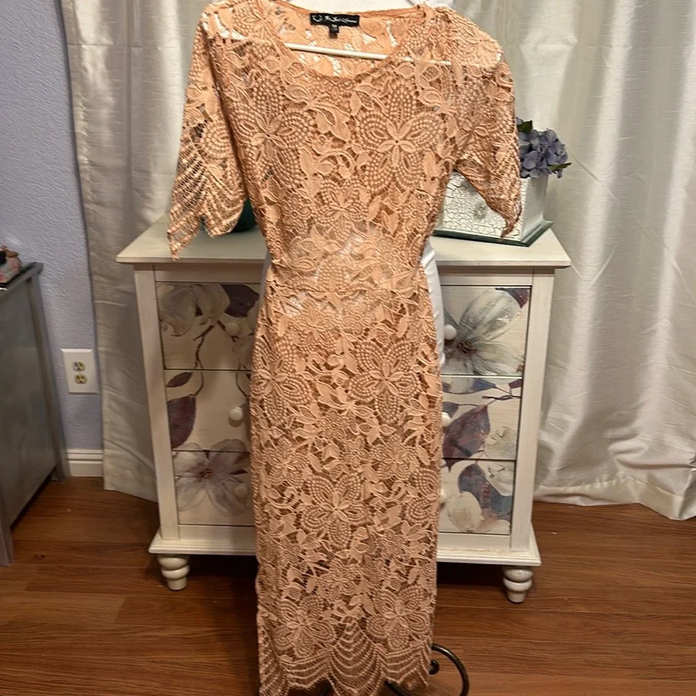 For Love and Lemons All Lace Dress - Picture 7 of 8